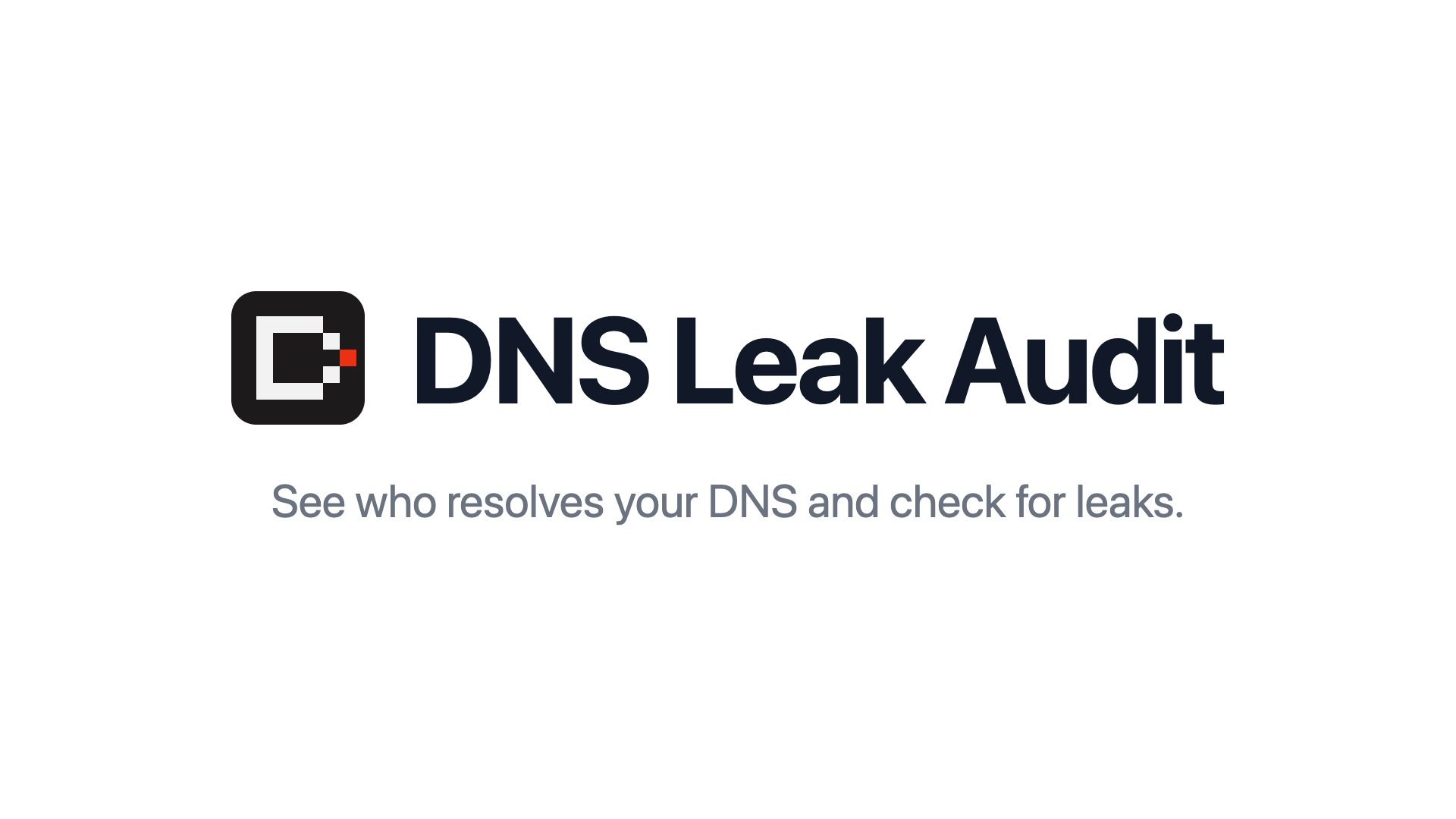 DNS Leak Audit — see who resolves your DNS and check for leaks